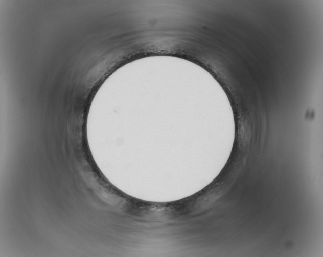 X0000111490493200908251029