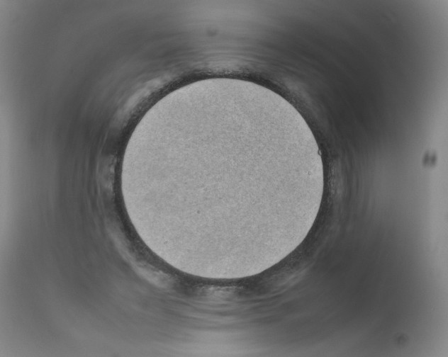 X0000111490495200908251029