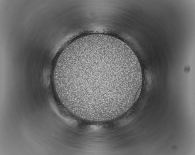 X0000111490496200908251029