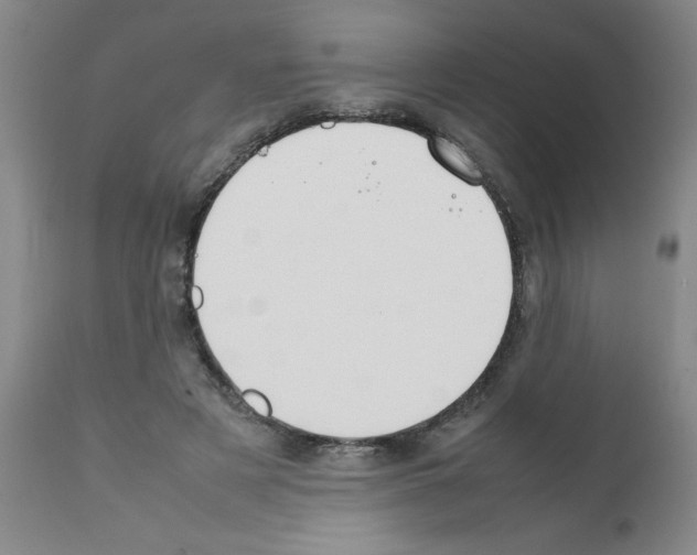 X0000111490497200908251029