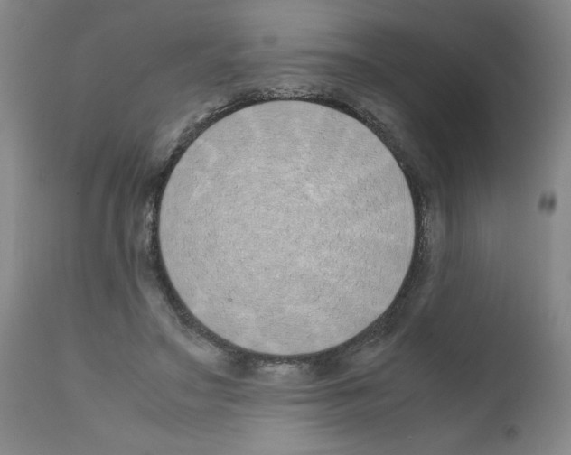 X0000111490499200908251029