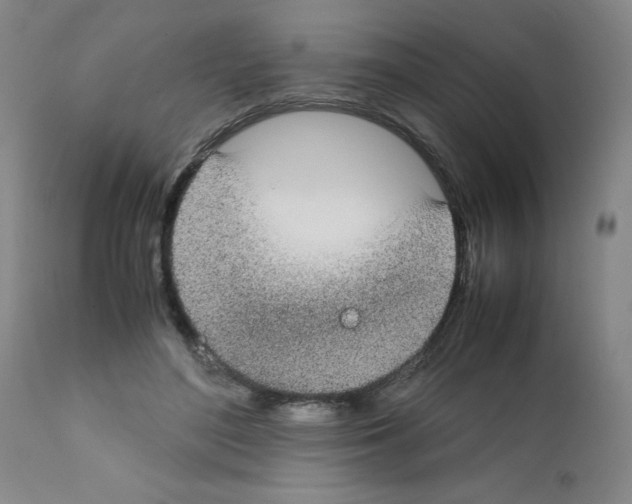 X0000111490500200908251029