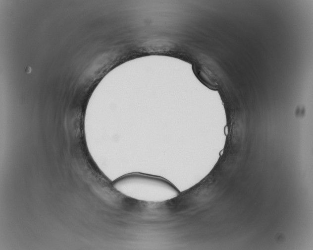 X0000111490501200908251029