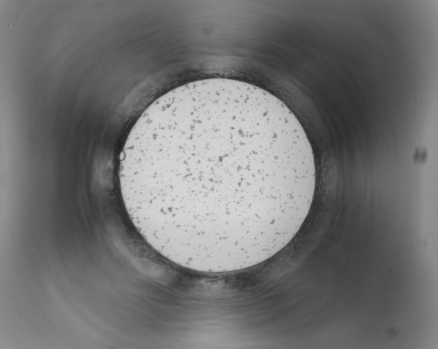 X0000111490502200908251029