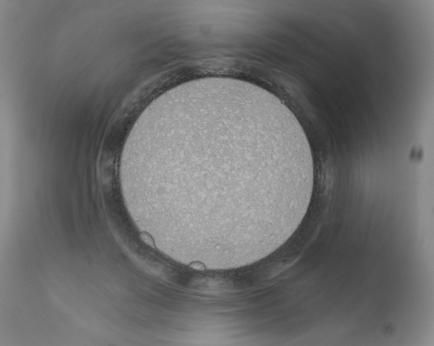 X0000111490503200908251029