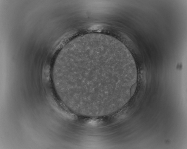 X0000111490504200908251029