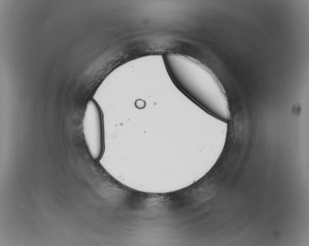 X0000111490505200908251029
