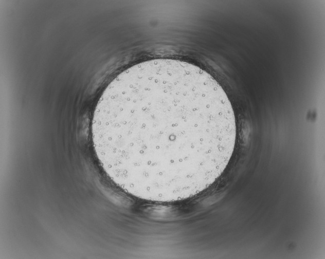 X0000111490507200908251029