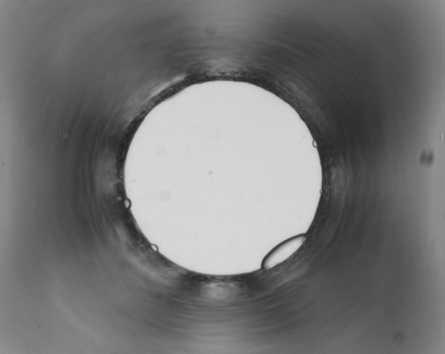 X0000111490508200908251029