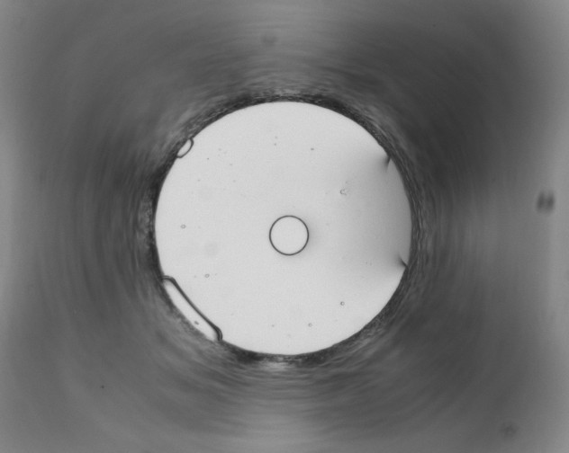 X0000111490509200908251029