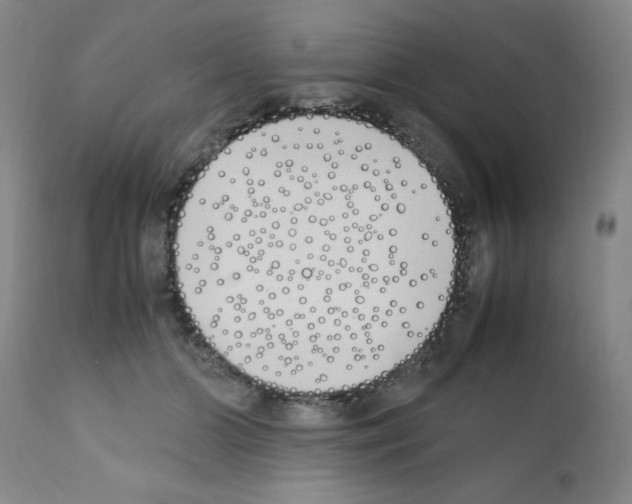 X0000111490510200908251029
