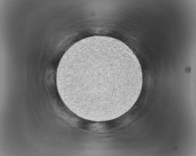 X0000111490511200908251029