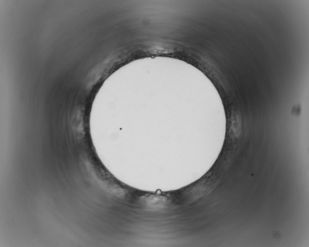 X0000111490512200908251029
