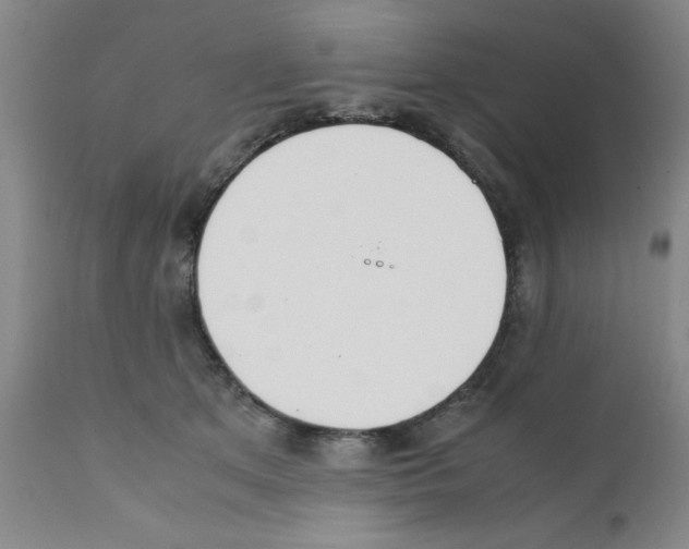 X0000111490513200908251029