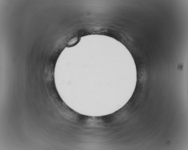 X0000111490515200908251029