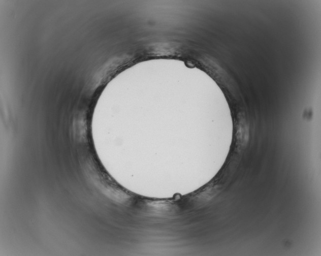 X0000111490516200908251029