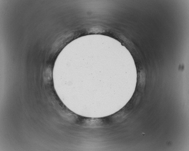 X0000111490517200908251029
