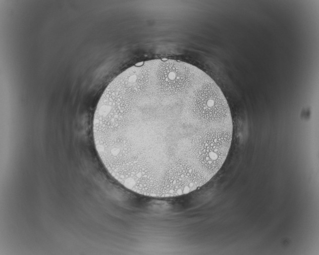 X0000111490519200908251028