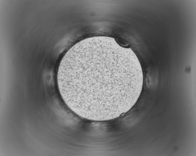 X0000111490520200908251028