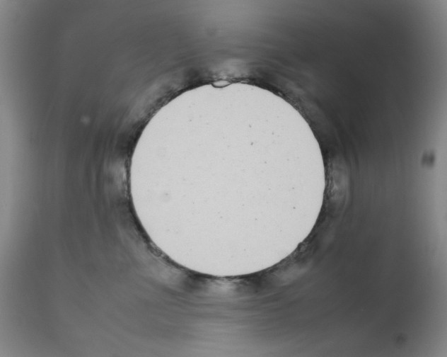 X0000111490523200908251028