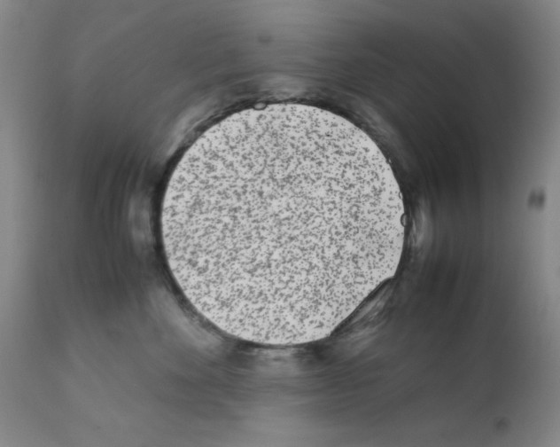 X0000111490524200908251028