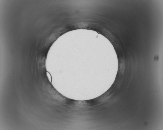 X0000111490525200908251028
