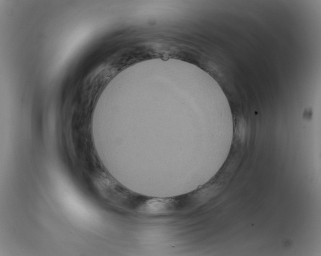 X0000111490526200908251028