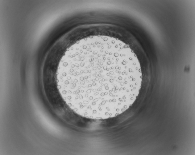 X0000111490527200908251028