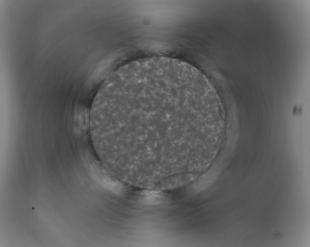 X0000111490528200908251028