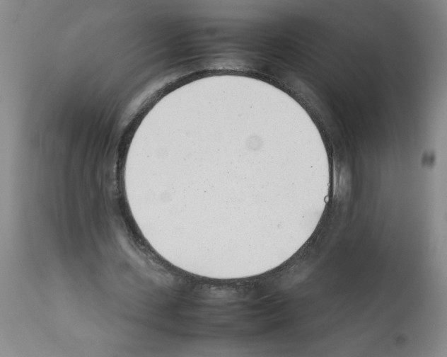 X0000111490531200908251028