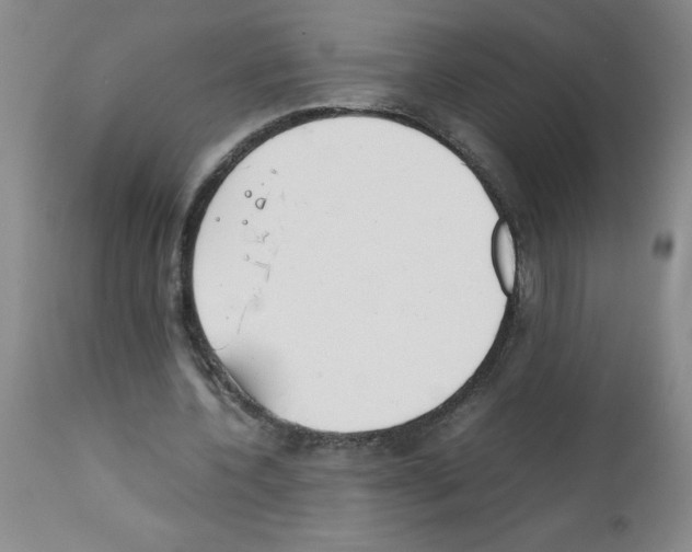 X0000111490532200908251028