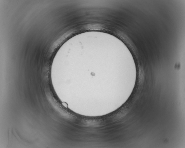 X0000111490533200908251028