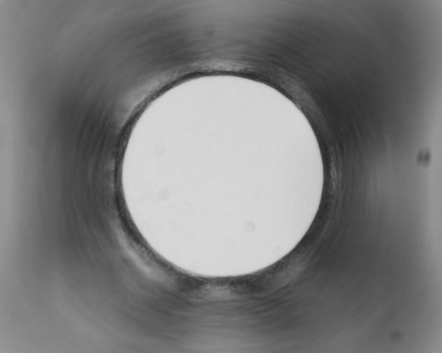 X0000111490534200908251028