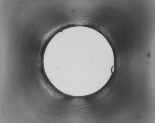 X0000111490536200908251028