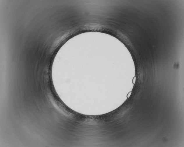 X0000111490538200908251028