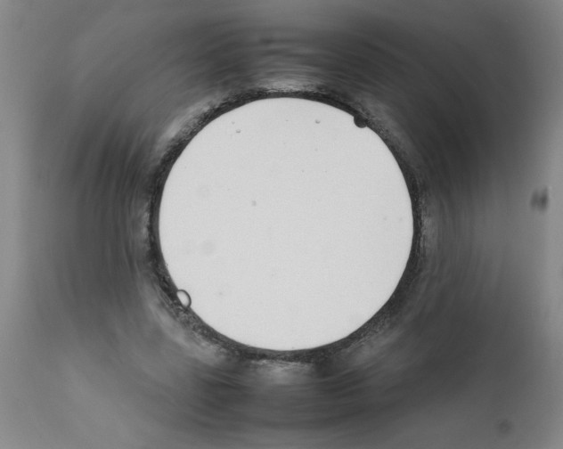 X0000111490539200908251028