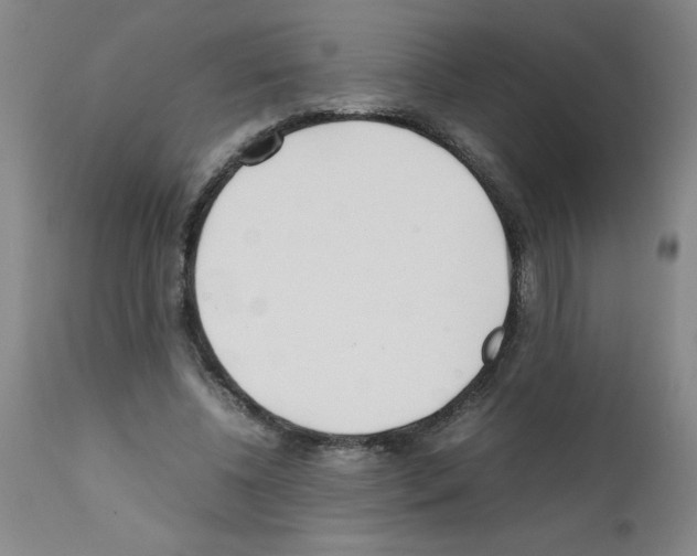 X0000111490540200908251028