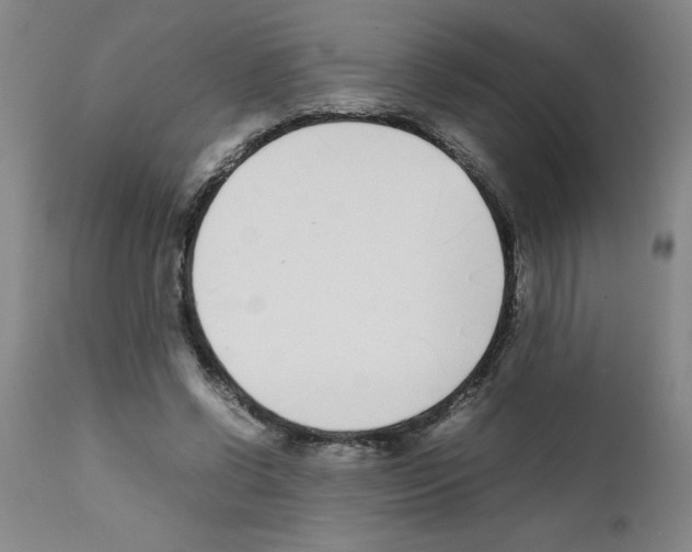 X0000111490542200908251028