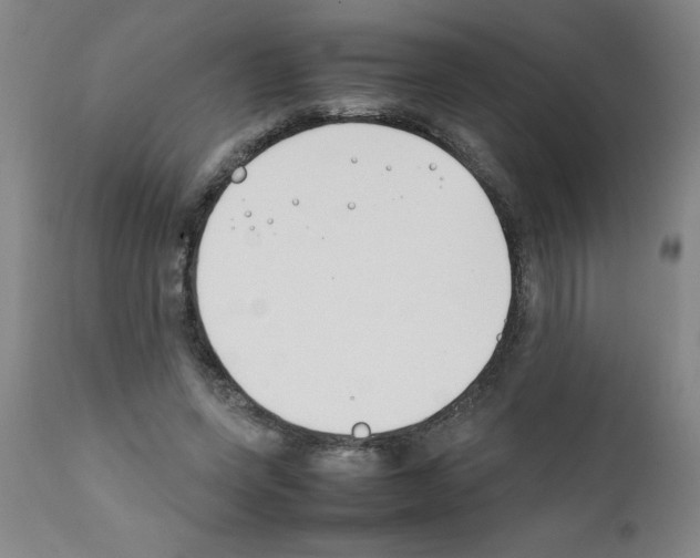 X0000111490543200908251028