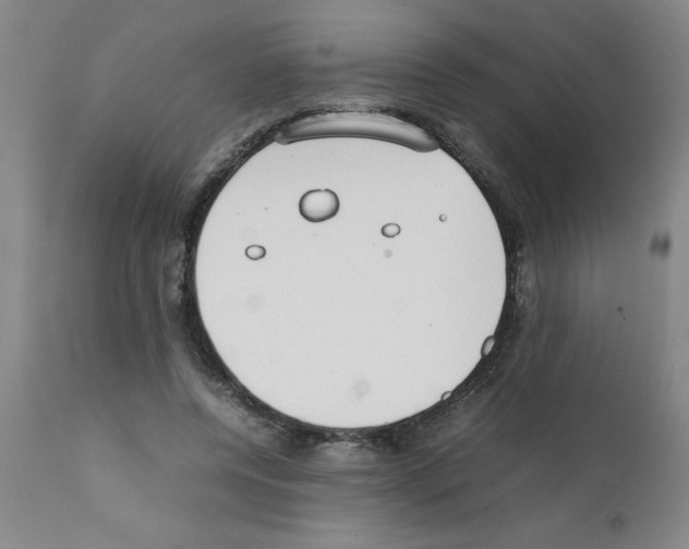 X0000111490544200908251028