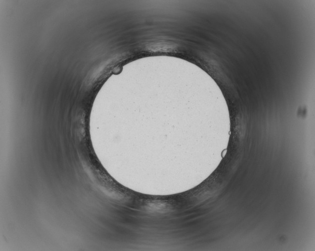 X0000111490547200908251028