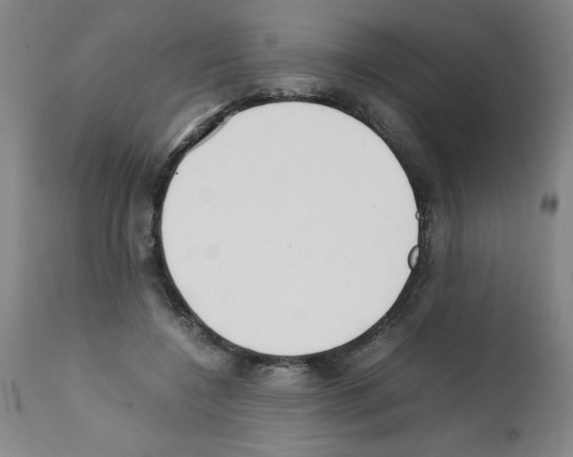 X0000111490548200908251028