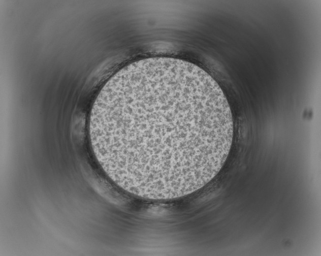 X0000111490550200908251028