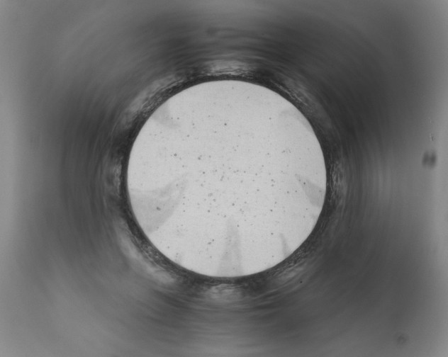 X0000111490551200908251028