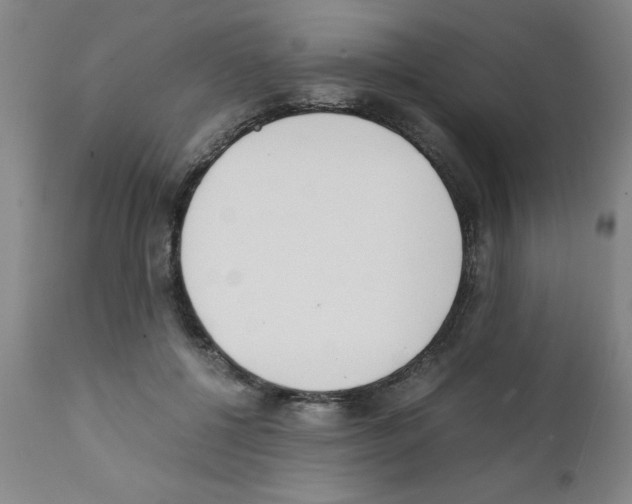 X0000111490552200908251028
