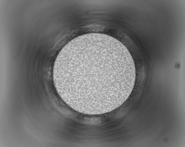 X0000111490553200908251028