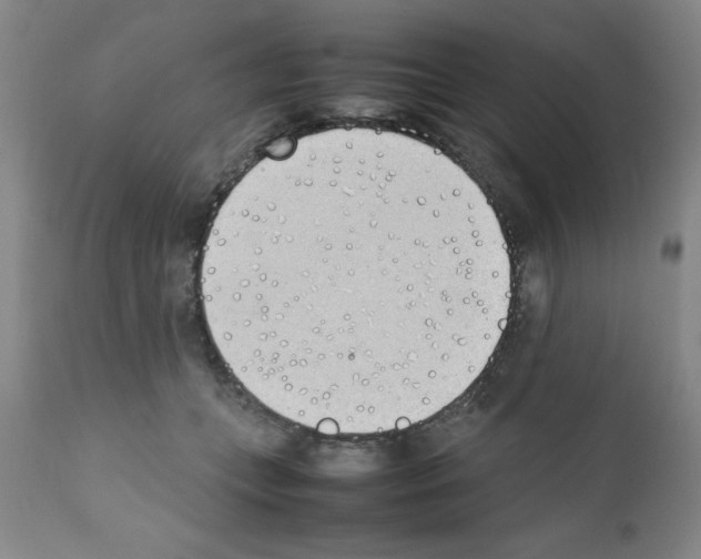 X0000111490559200908251028
