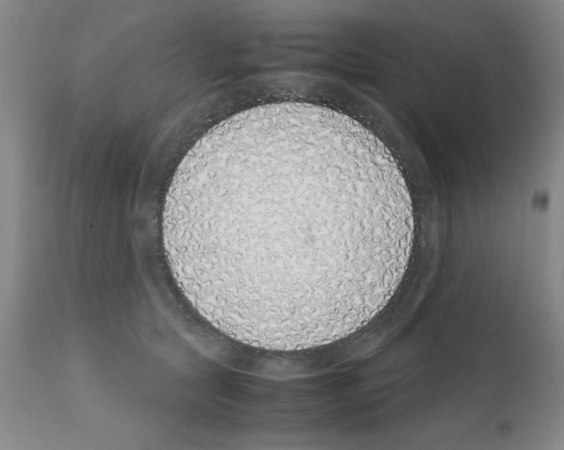 X0000111490561200908251028