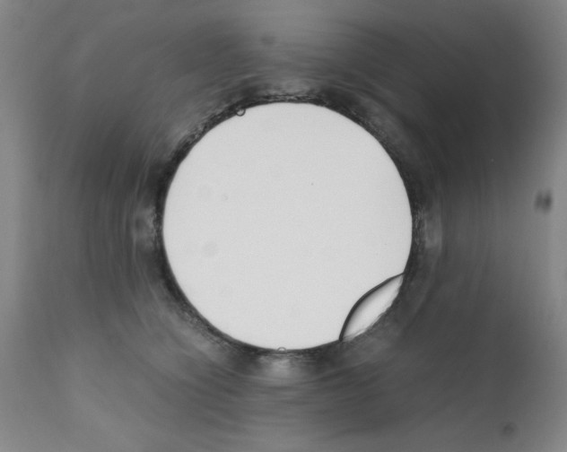 X0000111490564200908251028