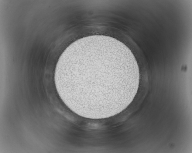 X0000111490565200908251028